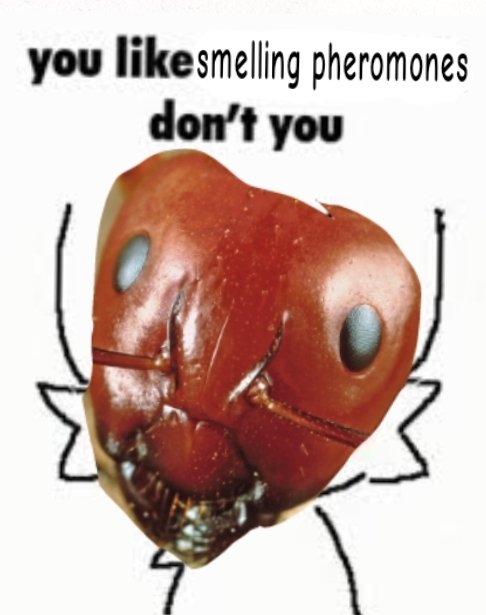 AntPosting (@antpositing) on Twitter photo 