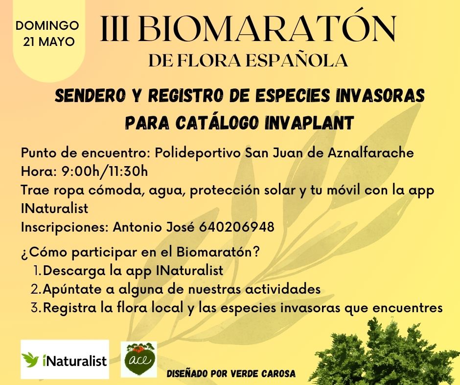Sendero para registro de #invaplantas en#SanJuandeAznalfache el domingo 21 de mayo.
Más info e inscripciones en 📞640 206 948.
#Biomaratón2023 #Biomaratón2023Andalucía