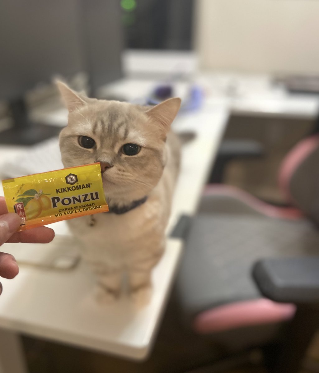 BootyHimee's tweet photo. Ponzu finding out where her name came from https://t.co/KyPeY5rPDq