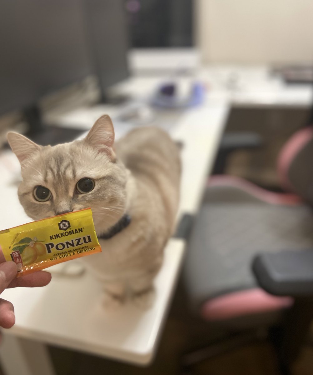 BootyHimee's tweet photo. Ponzu finding out where her name came from https://t.co/KyPeY5rPDq