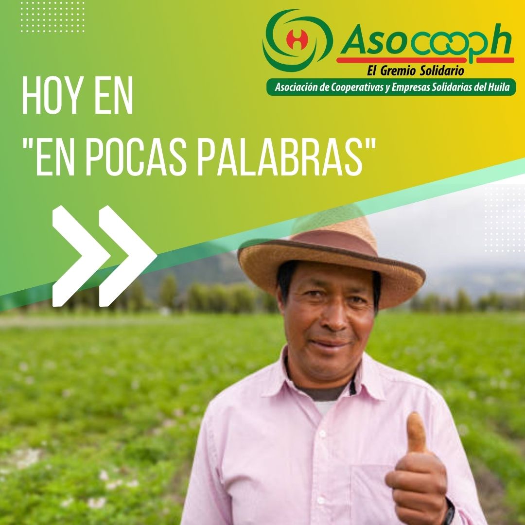 Asocooph's tweet photo. En #ASOCOOPH sabemos que los proyectos
pueden ser complicados y difíciles de entender.
Olvida el lenguaje técnico y las jergas jurídicas, porque
aquí está "En pocas Palabras" con el Proyecto de
Fortalecimiento de Esquemas Organizacionales y
Asociativos. #HuilaTerritorioSolidario https://t.co/fF4qynFlS9