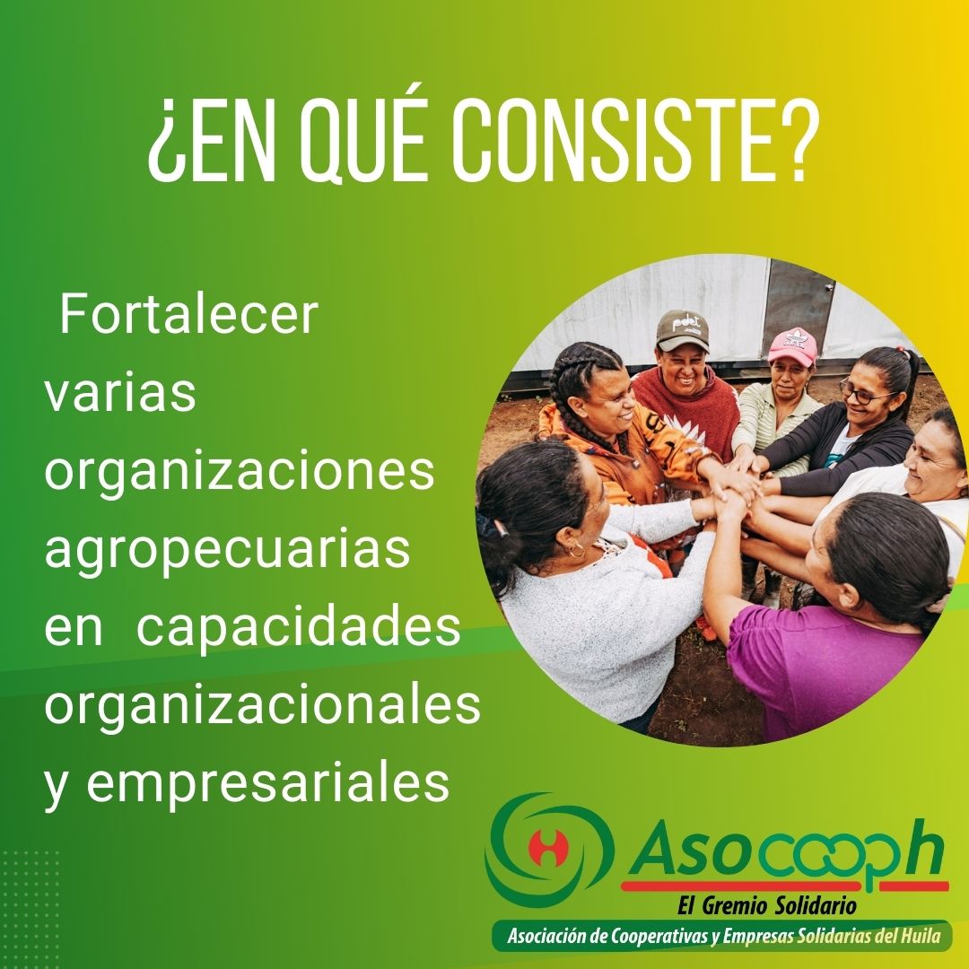 Asocooph's tweet photo. En #ASOCOOPH sabemos que los proyectos
pueden ser complicados y difíciles de entender.
Olvida el lenguaje técnico y las jergas jurídicas, porque
aquí está "En pocas Palabras" con el Proyecto de
Fortalecimiento de Esquemas Organizacionales y
Asociativos. #HuilaTerritorioSolidario https://t.co/fF4qynFlS9