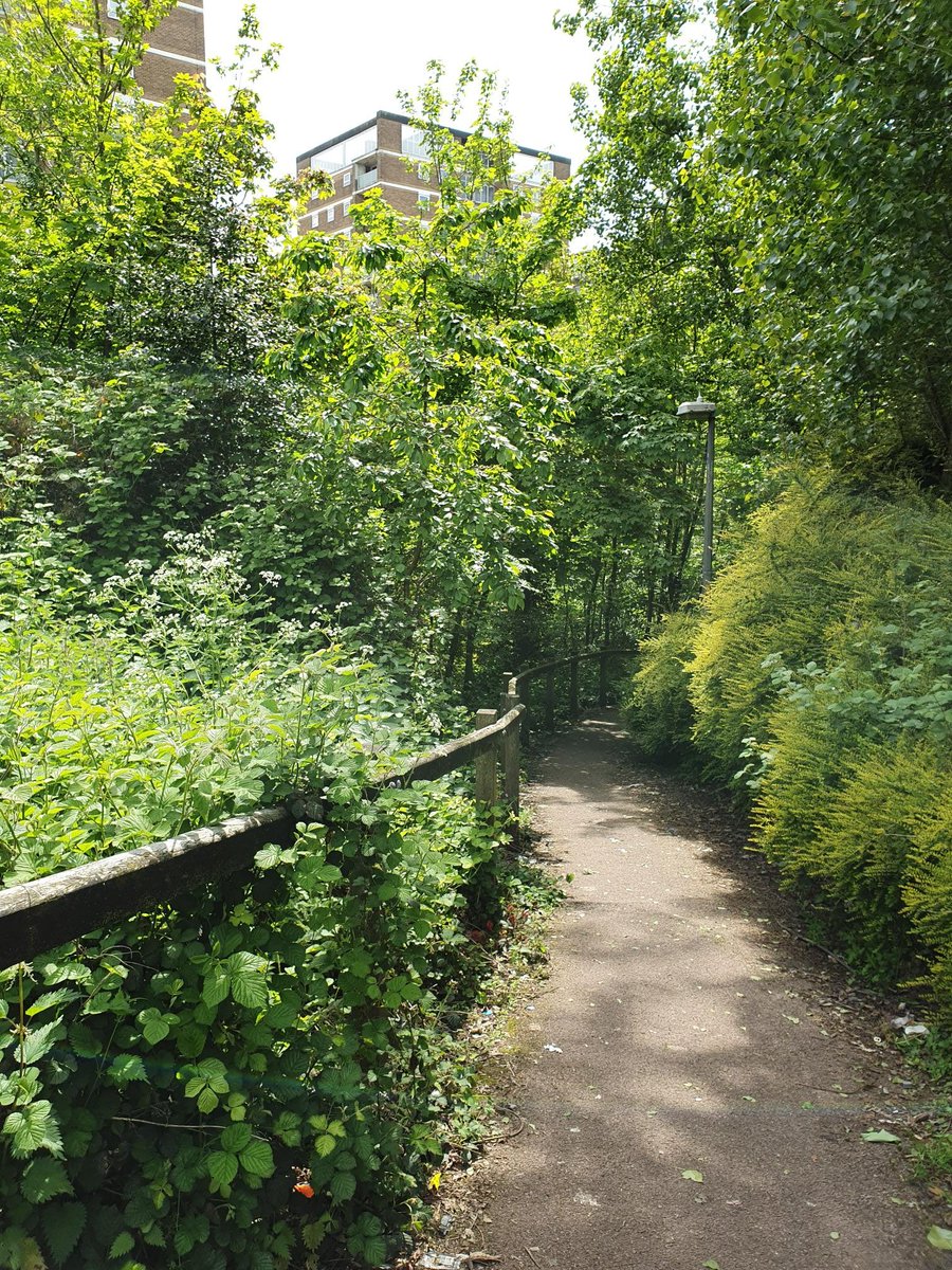 BrierleyHillWMP's tweet photo. #OpSeptre - Brierley hill team have conducted weapon 
sweeps at various parks around Hawbush and around Brierley hill. #yousaidwedid #communitypolcing #lifeorknive https://t.co/QDAUqgbDig
