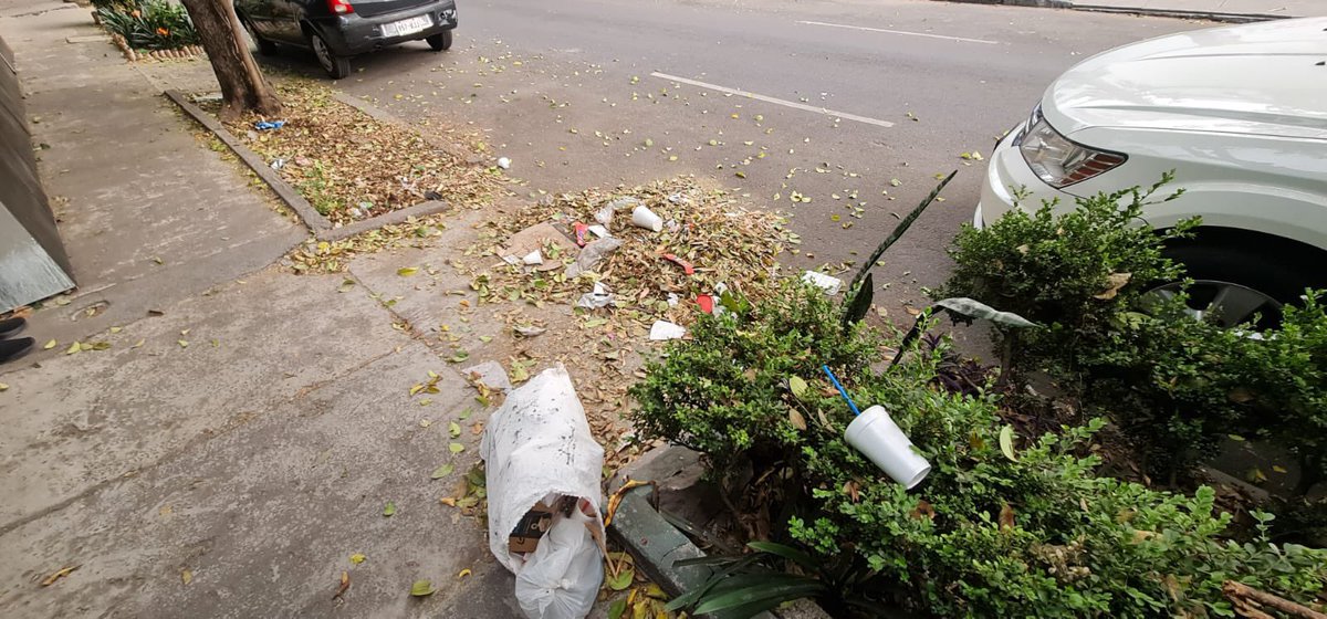 ramirezfavela's tweet photo. Increíble el basurero que se ha convertido la entrada de la colonia Guadalupe Inn desde que @GDCdesarrollos compró y ni @AlcaldiaAO @lialimon @DenunciaAOCDMX https://t.co/63vGTMbcro