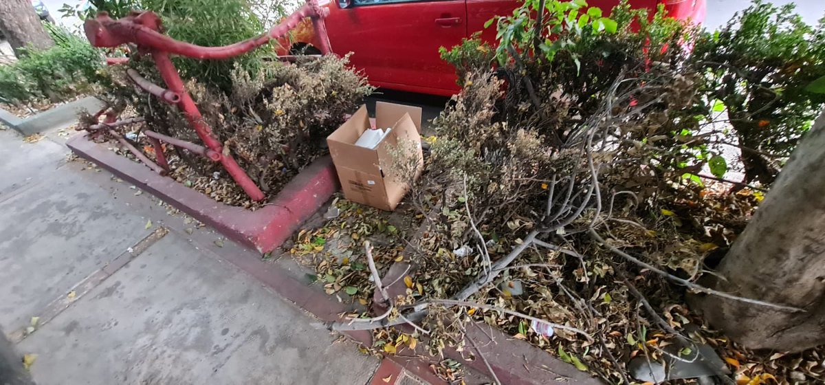 ramirezfavela's tweet photo. Increíble el basurero que se ha convertido la entrada de la colonia Guadalupe Inn desde que @GDCdesarrollos compró y ni @AlcaldiaAO @lialimon @DenunciaAOCDMX https://t.co/63vGTMbcro