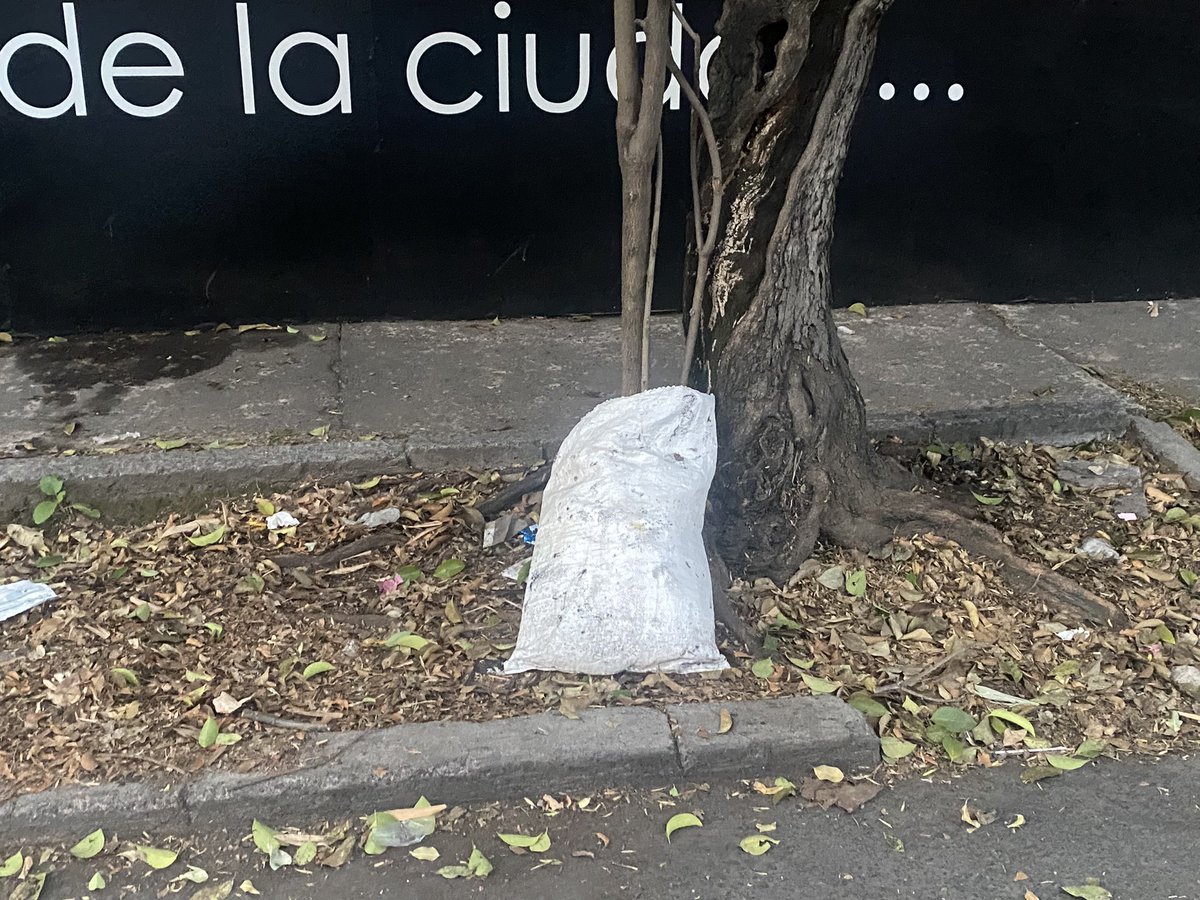 ramirezfavela's tweet photo. Increíble el basurero que se ha convertido la entrada de la colonia Guadalupe Inn desde que @GDCdesarrollos compró y ni @AlcaldiaAO @lialimon @DenunciaAOCDMX https://t.co/63vGTMbcro