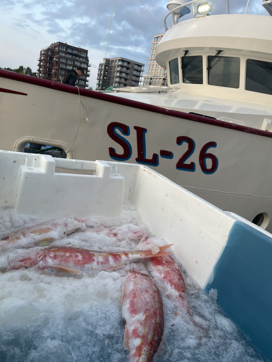 Another load of fresh fish for the fish market in Zeebrugge tomorrow. 💪🏻