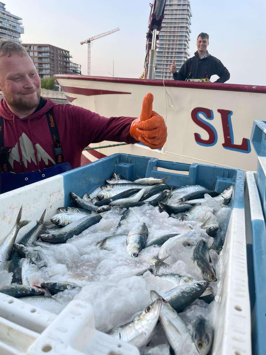 edwin_seters's tweet photo. Another load of fresh fish for the fish market in Zeebrugge tomorrow. 💪🏻 https://t.co/2RvKRbOFWM