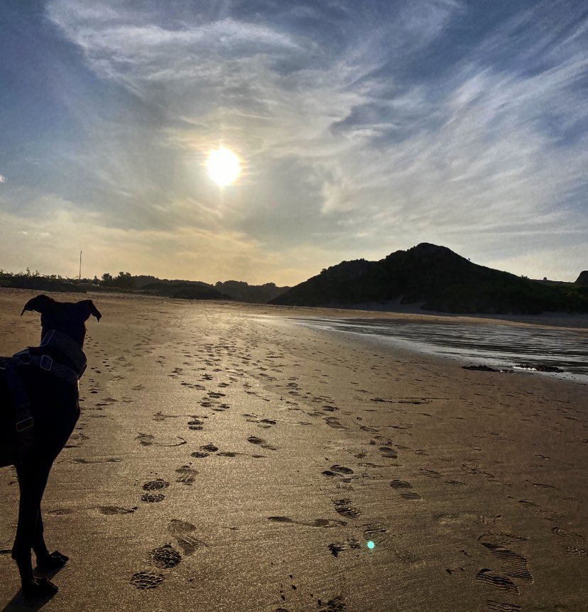 Sofía y la #playa 🖤  

#NoCompresAdopta