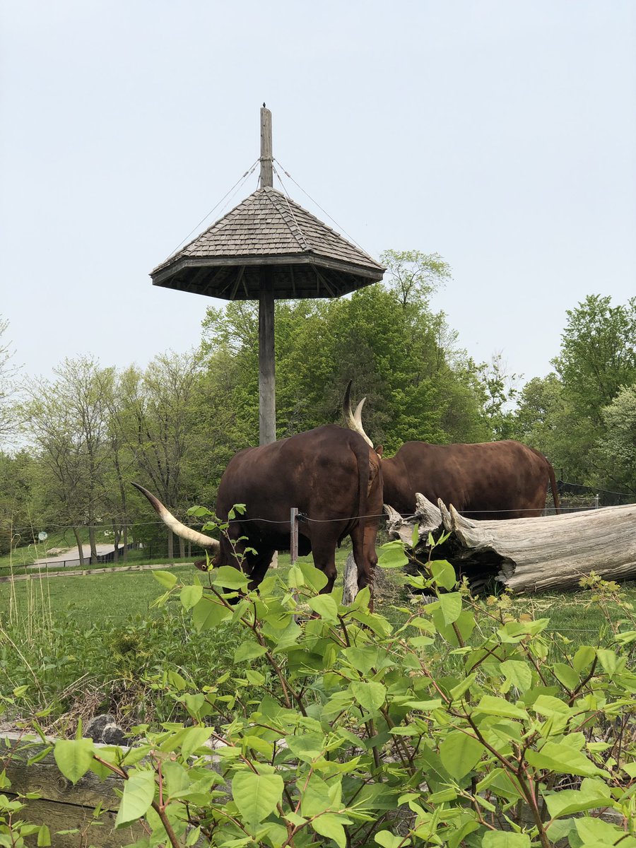 Ms. De Ponte tweet media