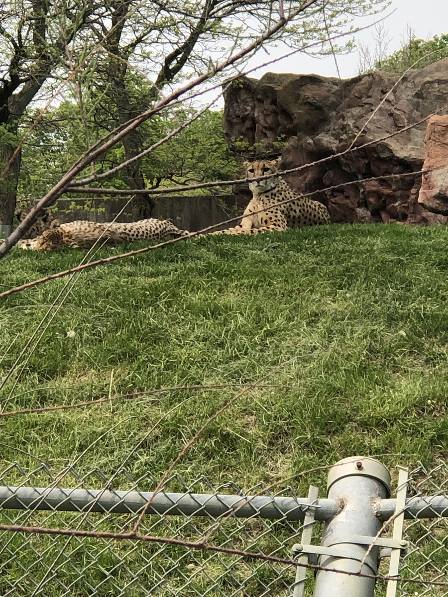 Ms. De Ponte tweet media