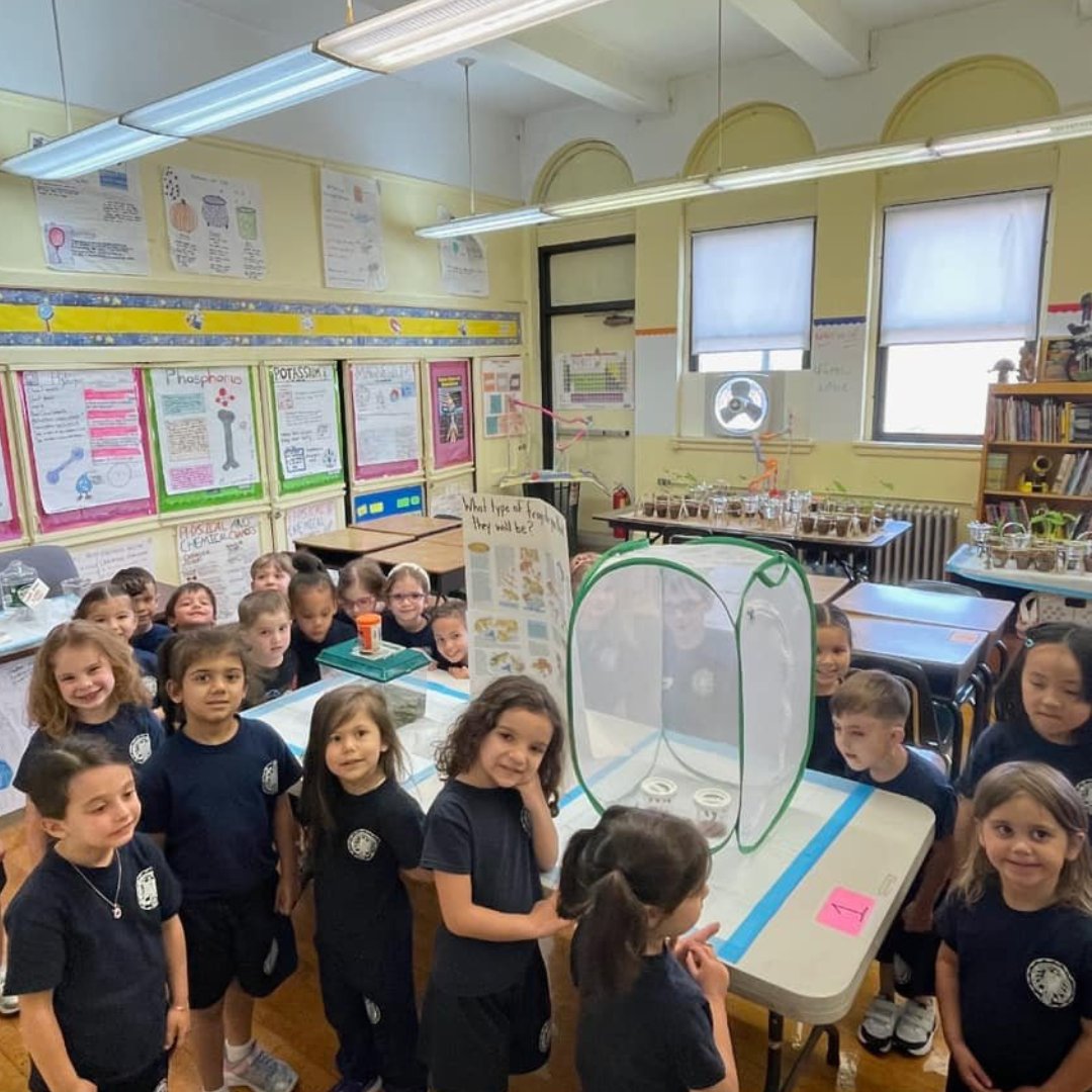 El Pre-K4 de The School of St. Benedict en el #Bronx tuvo un día de excursión en el laboratorio de ciencias.
¡Amamos las #ciencias desde una temprana edad!
📸: The School of St. Benedict
stbenedictschoolbx.org