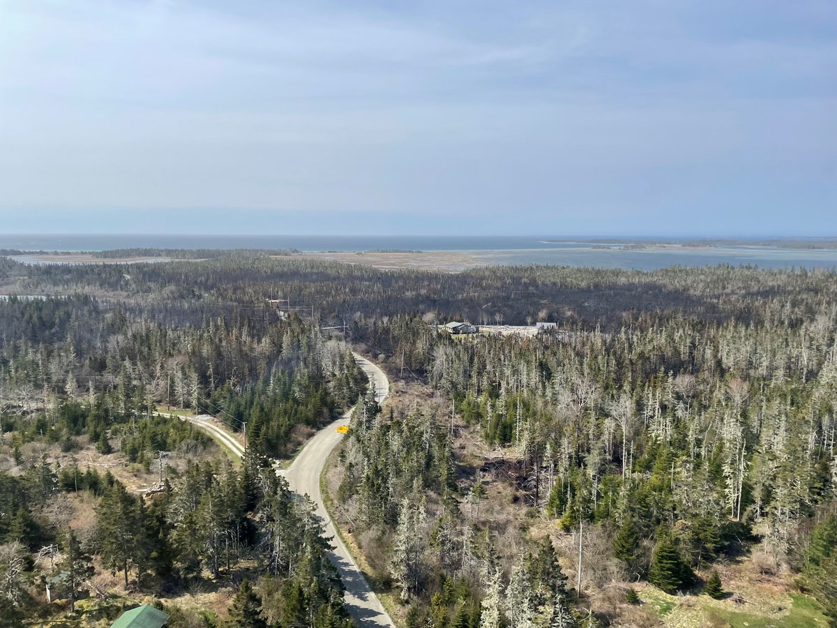 Natural Resources tweet media