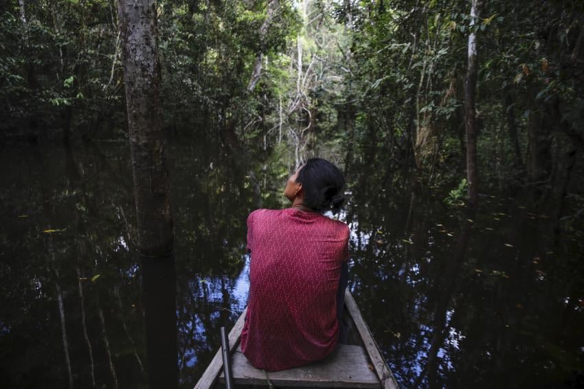 RPearshouse's tweet photo. Today, the European Union adopted an important new law requiring EU-based companies to ensure their imports and exports are “deforestation-free” and not driving human rights abuses.

@hrw reaction: https://t.co/hWjQBMjFAC https://t.co/YTgLrsE62G