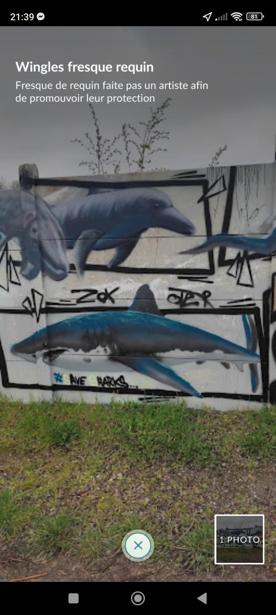 Playing Pokémon go spreading great message
#savesharks