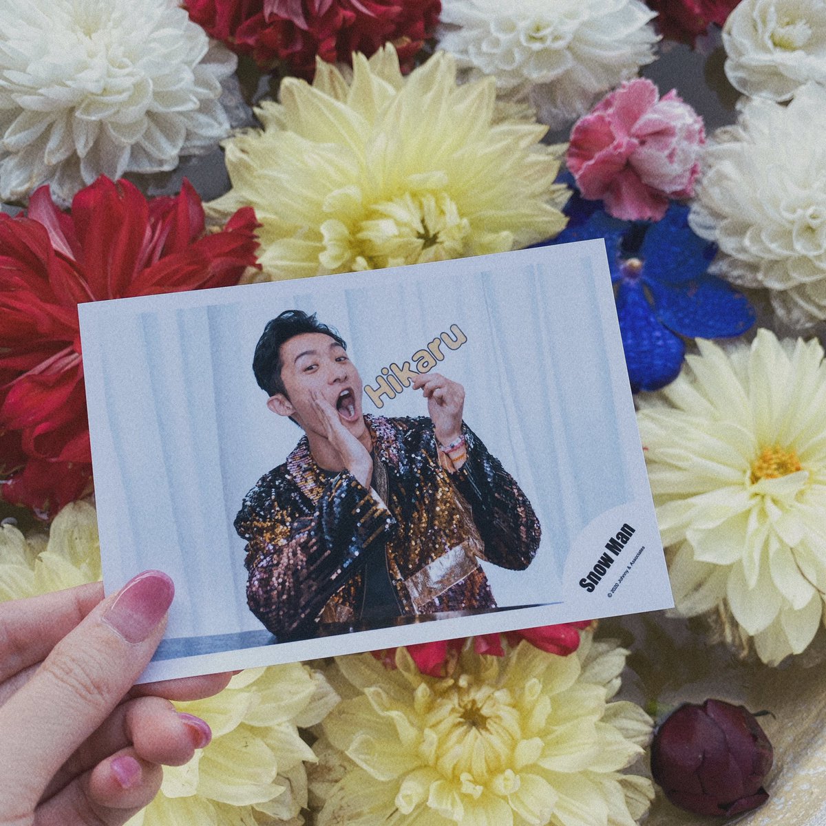_________sn184's tweet photo. ⸝⸝
 
𝟤𝟢𝟤𝟥.𝟧.𝟣𝟩
𝘏𝘢𝘱𝘱𝘺  𝘣𝘪𝘳𝘵𝘩𝘥𝘢𝘺  𝘏𝘪𝘬𝘢𝘳𝘶 𝘐𝘸𝘢𝘮𝘰𝘵𝘰 🌼𓂃

  #岩本照誕生祭2023 
 #岩本照誕生祭

⸝⸝ https://t.co/O5lfhrcF38