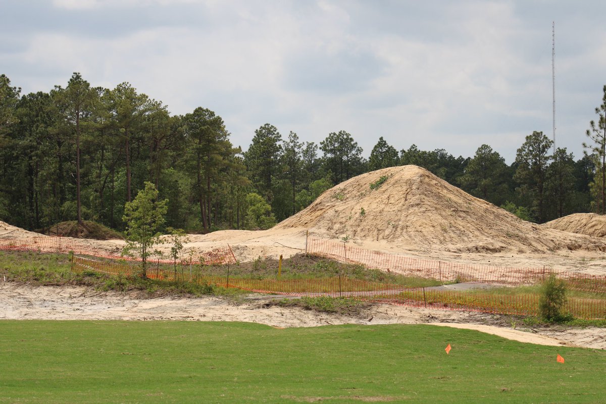 Andrew Harvie tweet media