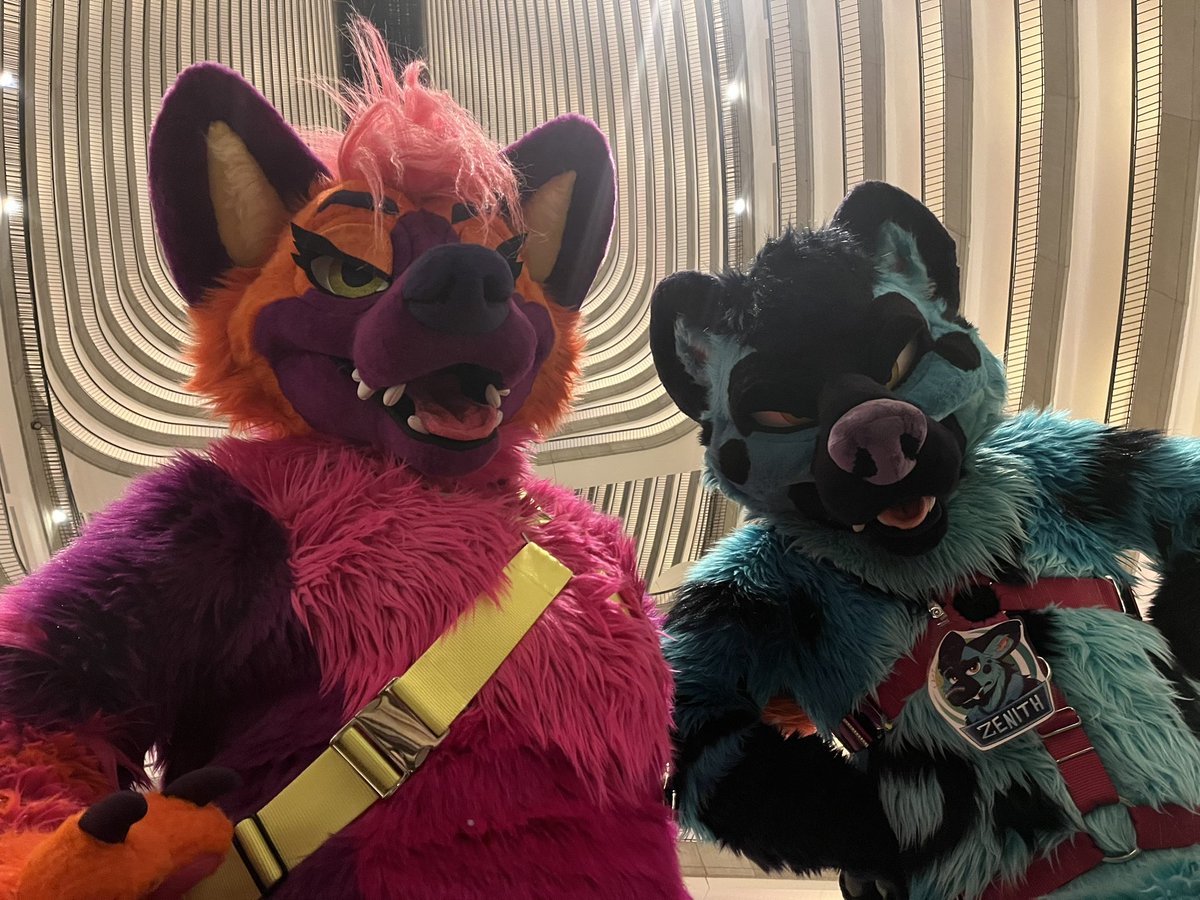 LockheedSkonk's tweet photo. Going through the few photos I got at #FWA2023! 
@RyePony 
@sunnydancer_fur 
(Not sure who Stolas and Moxie were!)
@SunsetYeen @zenithyena https://t.co/Rp108HrBMn