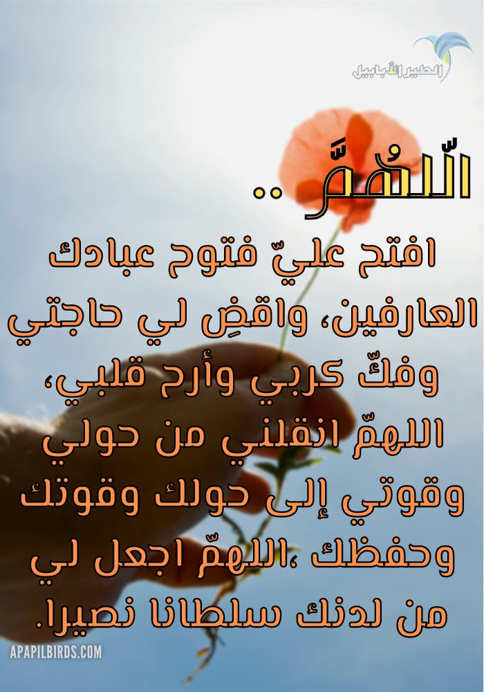 سبحان الله العظيم رب العالمين (@ypqk6q8vog5oezr) on Twitter photo 