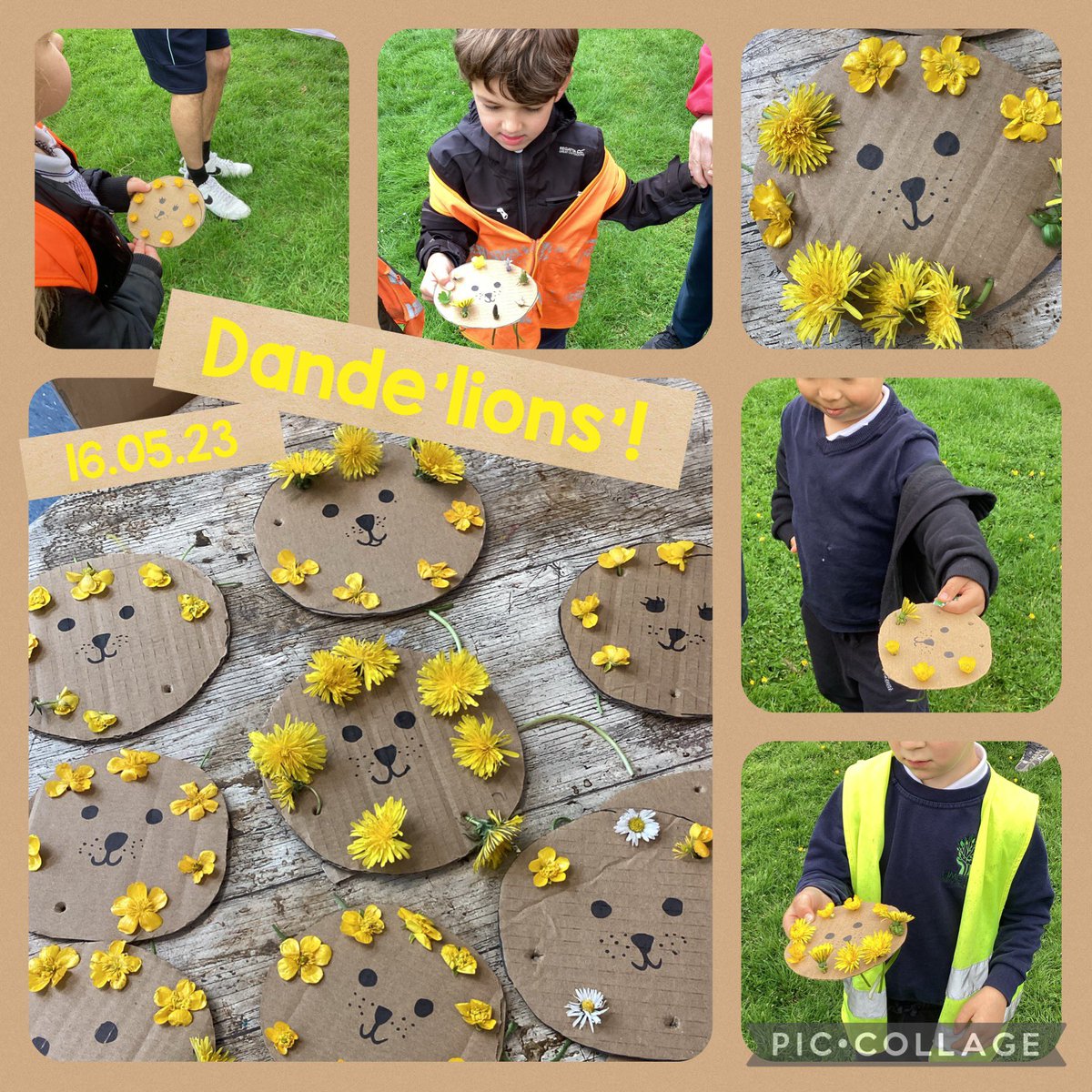We had a ROARsome time on our spring walk this morning! We spotted nests, waved at bees, named flowers, rolled down hills, played, explored and shared a story #wearebrightfutures <a href="/limetreepa/">Lime Tree Academy</a>