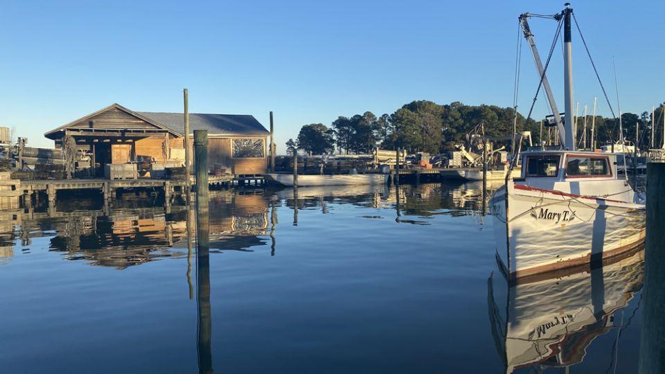 Thursday May 18th 2023,
Drunken kiss 
from
Marin Bay, CA
This Oyster offer
Clean briny flavor with a semi-firm texture and a complex metallic finish.
 
 #OysterOfTheWeek! 
 
#ShellfishLover #OysterHead #Sustainable