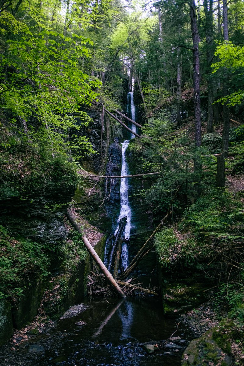 Rob Yaskovic tweet media