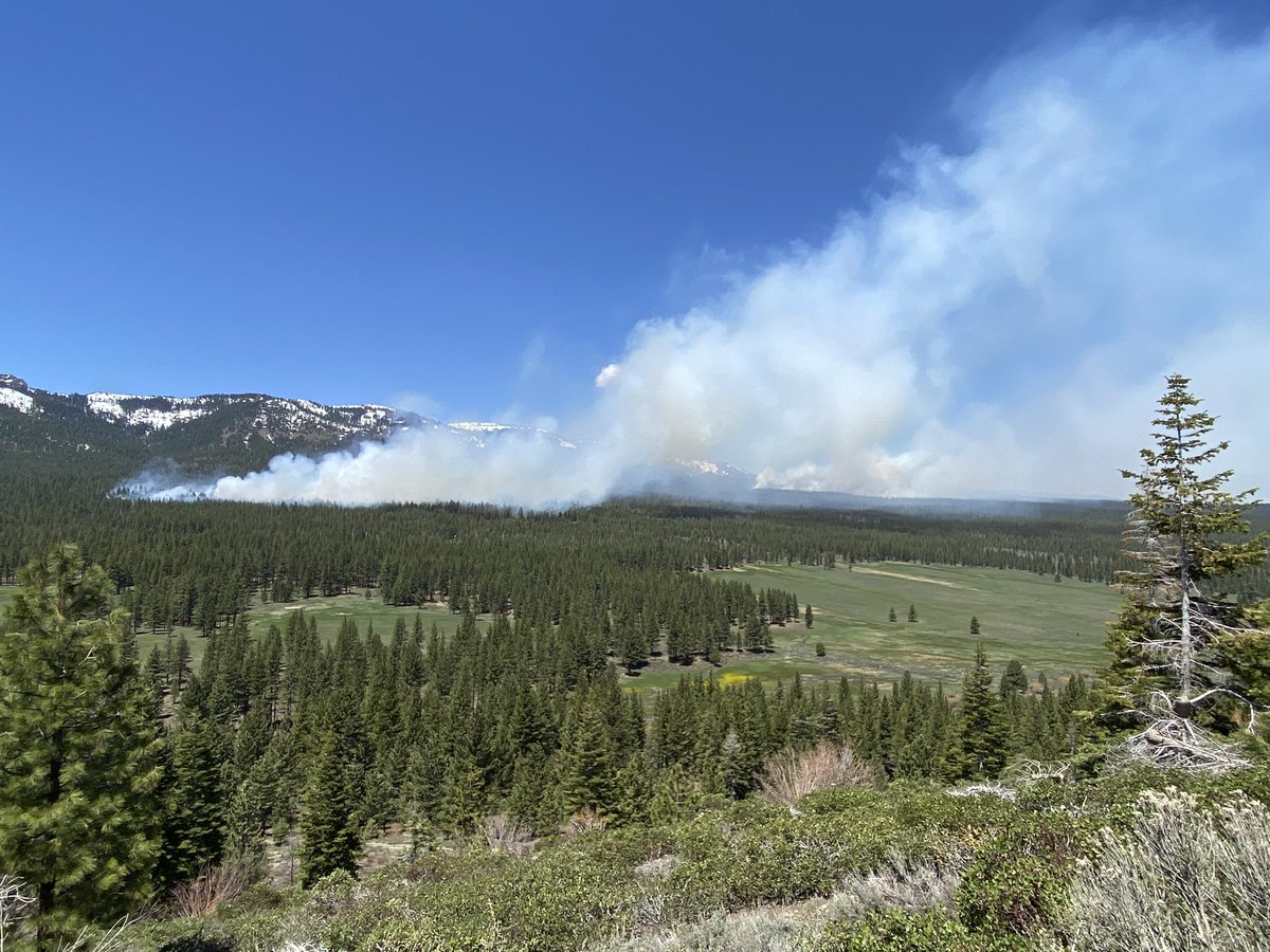 Truckee Meadows Fire & Rescue on Twitter "RT HumboldtToiyabe DOG