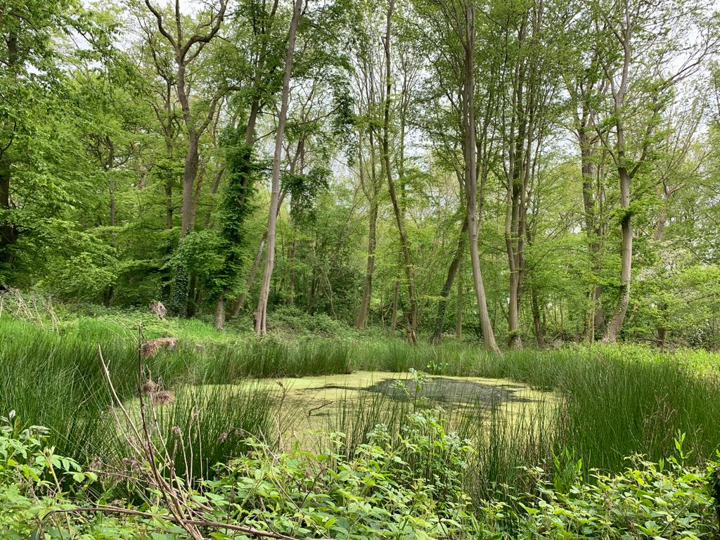 BlythCluster's tweet photo. Cluster Pond Management event, kindly hosted by Richard Symes with pond expert Juliet Hawkins https://t.co/mCZthRbbAb