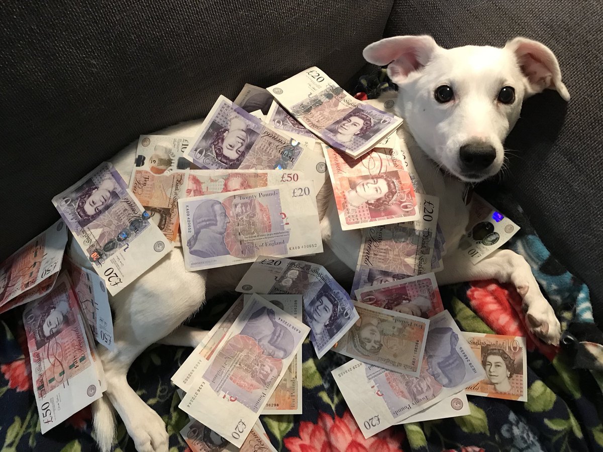 kelly 🍓🚀 tweet media