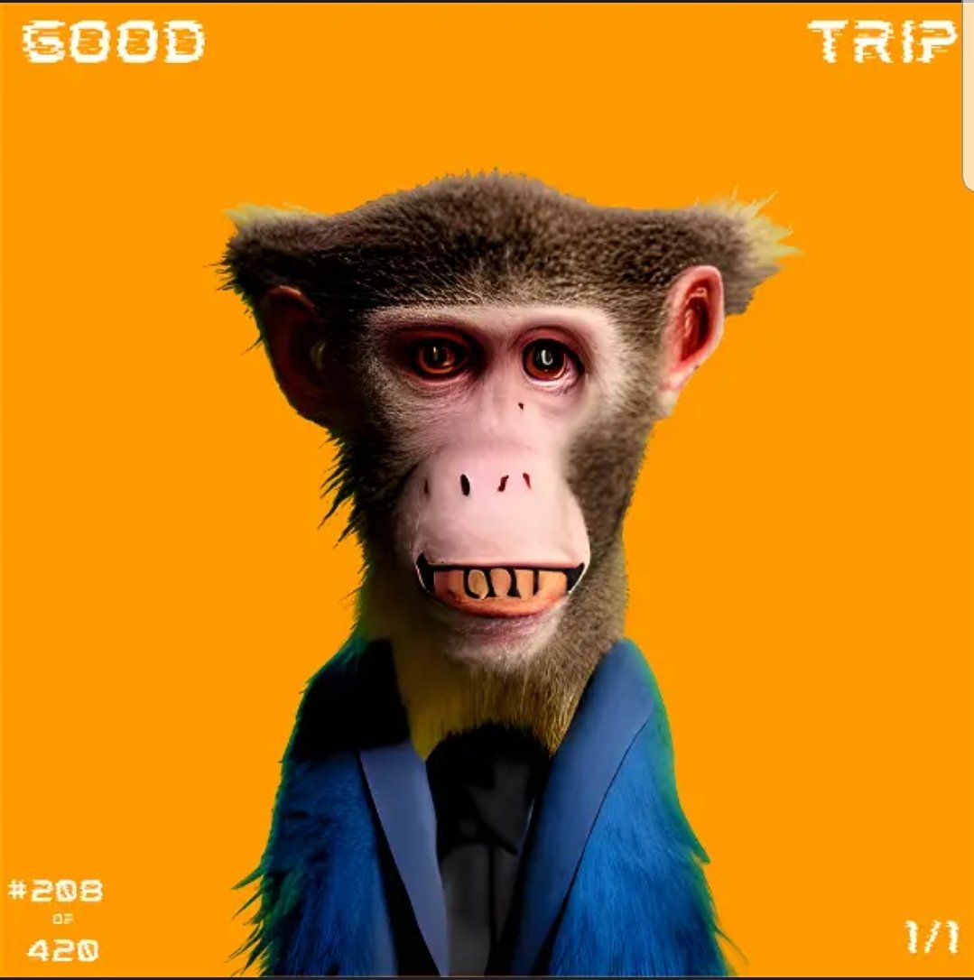 Boleyn2Bowlyn's tweet photo. @HELDiWanKenHODL @ShroomiesIO My guy is tripping about associating for a #Shroomlist NFT.
0.0.1666379
#GoodTripApe #GoodTripPunk #Shroomies #HBAR #HBARNFTs #HBARbarians https://t.co/sA71ECGFbN