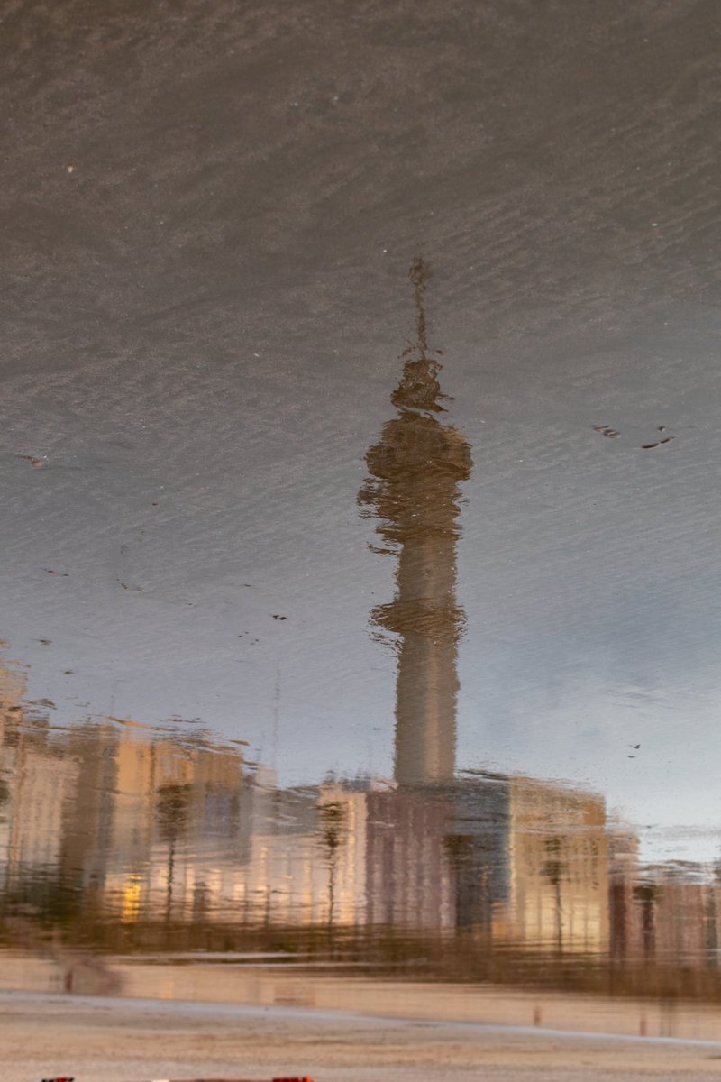 Así es Cádiz desde mi objetivo. Parece una pintura, pero no, es el reflejo del mar. 📸📸📸🌅🌅🌅
