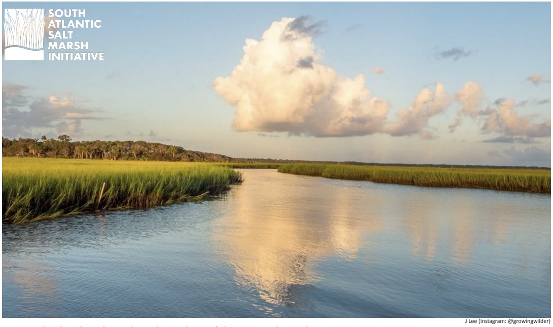 Today the South Atlantic Salt Marsh Initiative (SASMI) released a plan to enhance the long-term abundance, health and resilience of the approximately 1 million acres of salt marshes within the South Atlantic states! Read more here: marshforward.org
<a href="/pewenvironment/">Pew Environment</a>