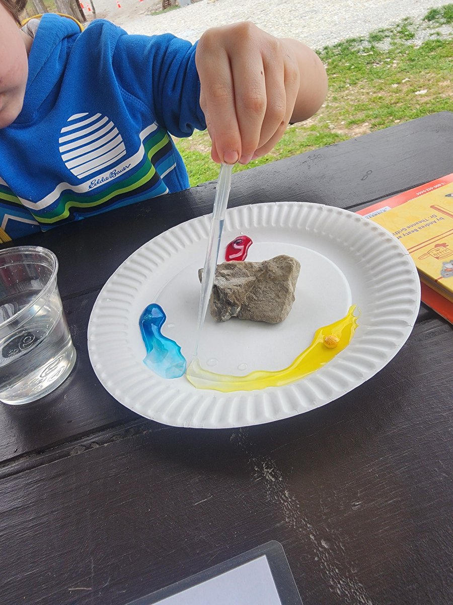thestemconnect's tweet photo. Our Community Partners play a huge role in our ability to make STEM connections here at the farm! The support from Scientech Club Foundation allows us to reduce the price of our day Camps to make them more accessible. 

#TSCPartners  #Community #impact #makingadifference https://t.co/Jn1GJlzs5x
