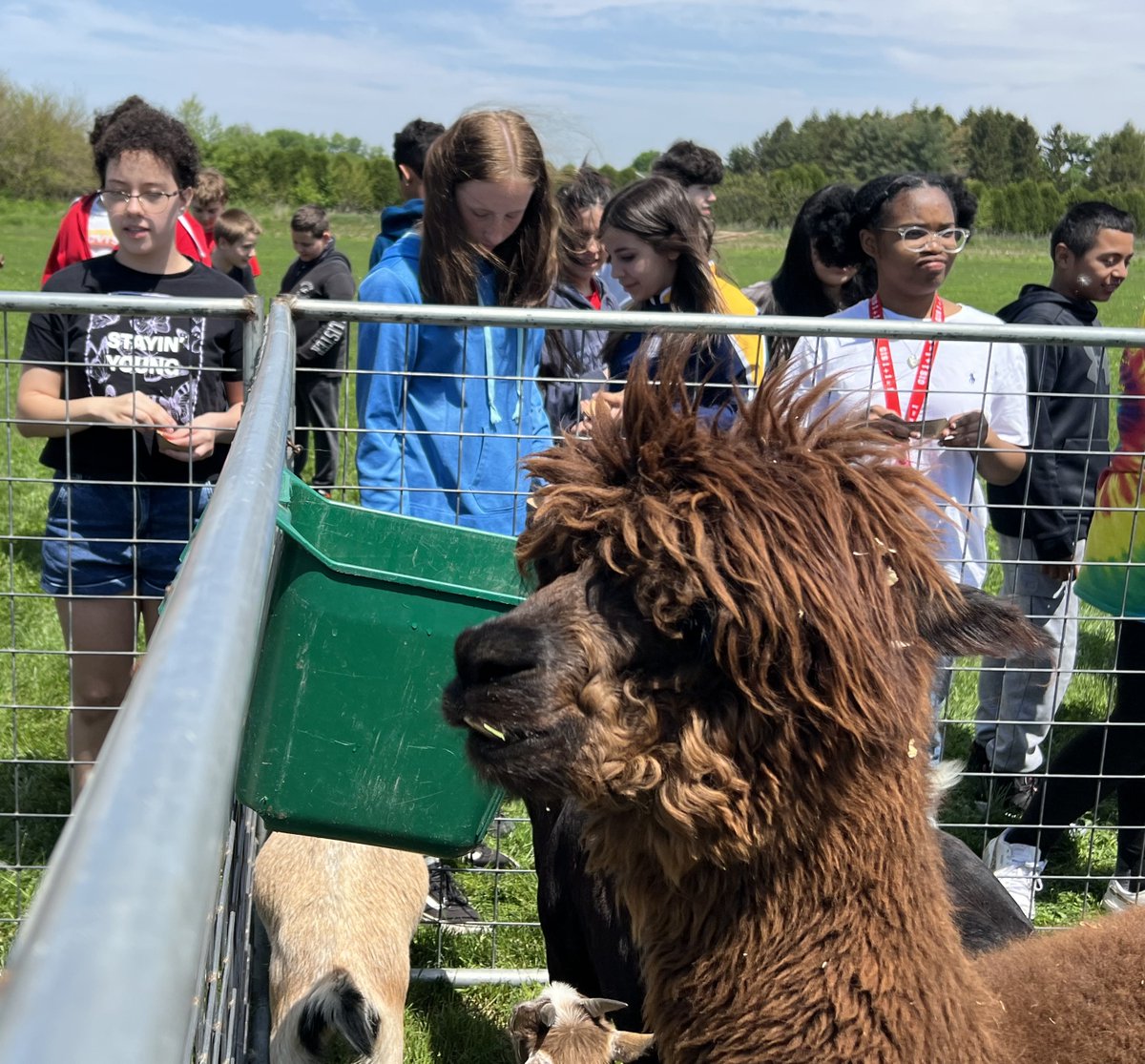 Goshen Schools on Twitter "Animals from the zoo visited GIS students