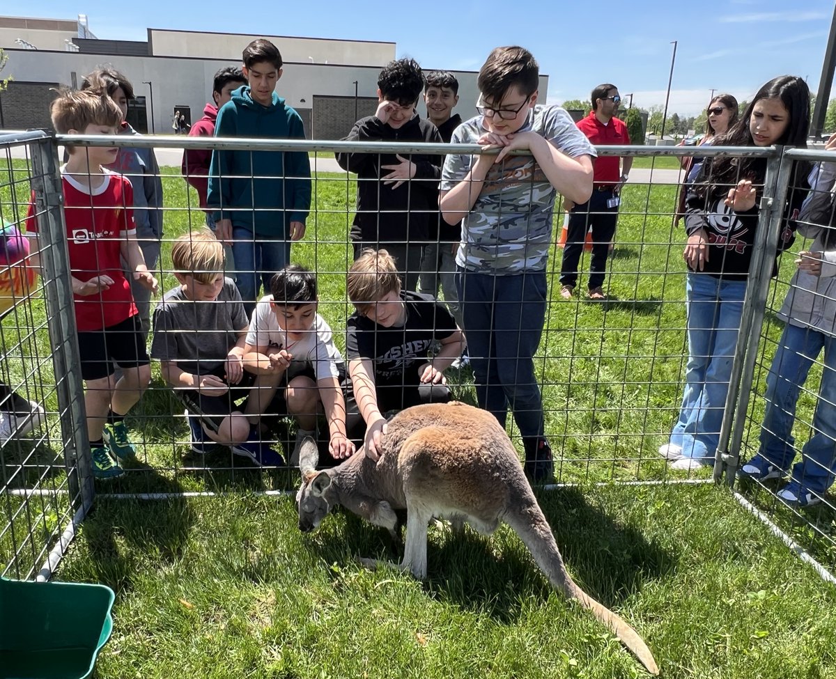 Goshen Schools on Twitter "Animals from the zoo visited GIS students