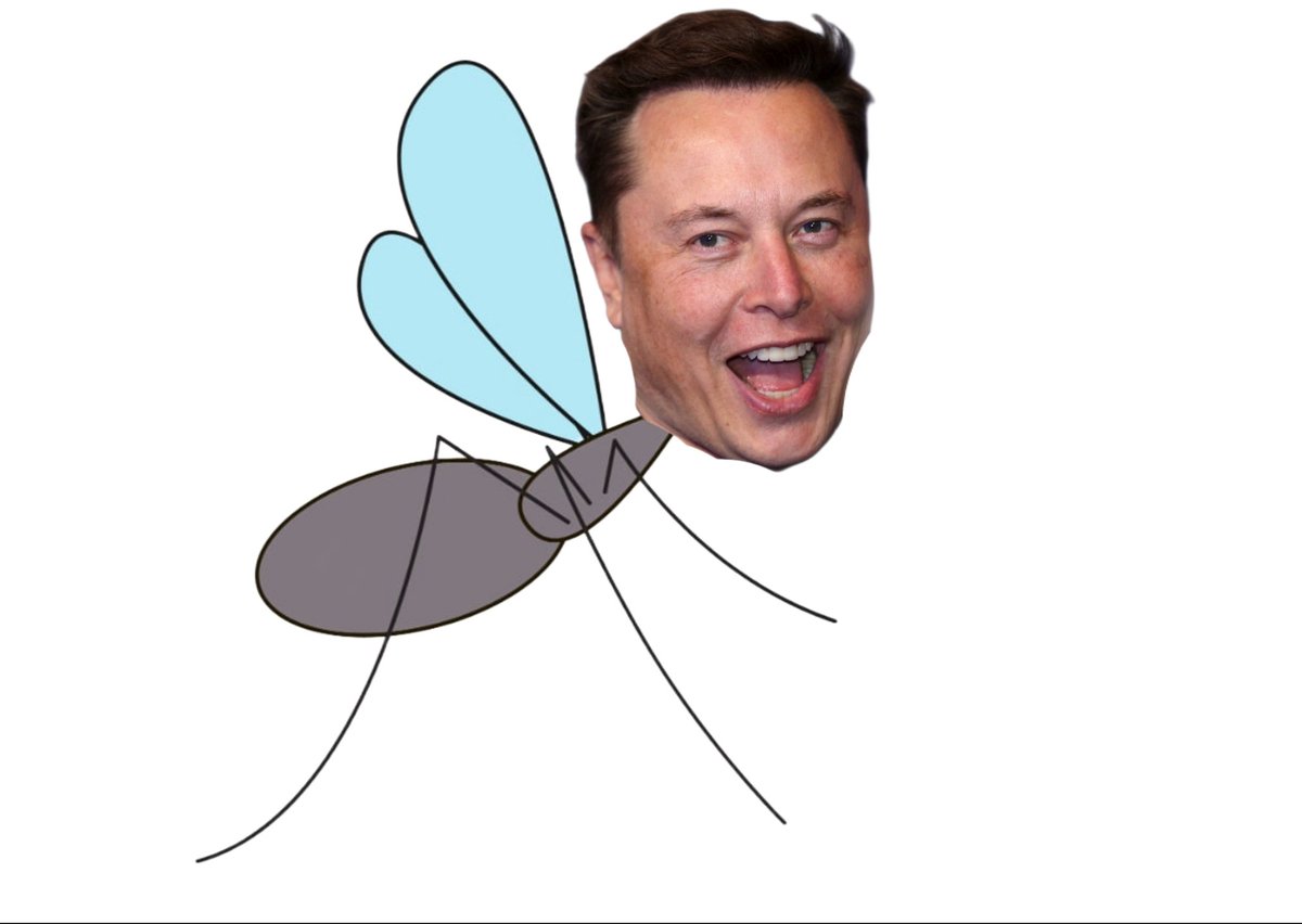 HollaPannaga's tweet photo. Elon muskuito 😂😂😂

@elonmusk https://t.co/ClKkFSQZbQ