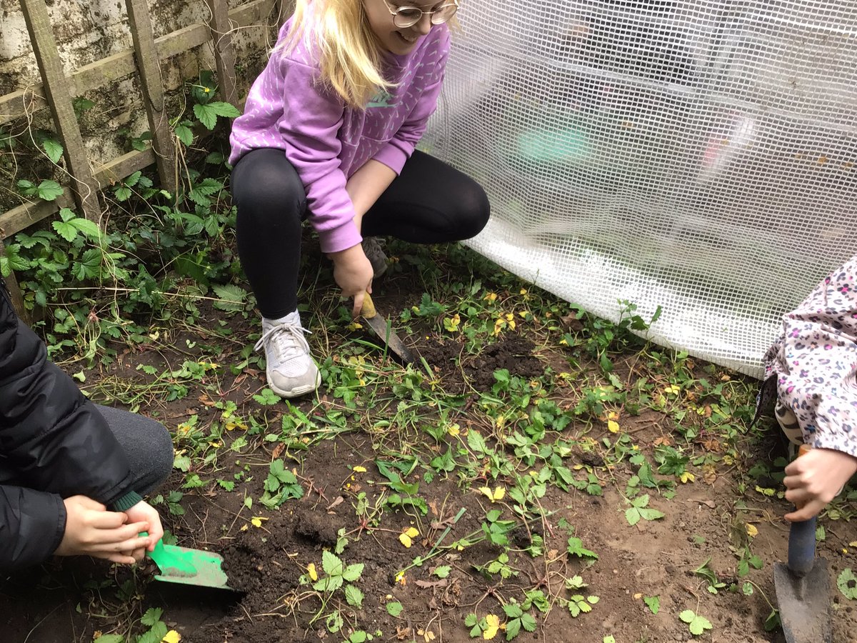 OakyDenmark's tweet photo. The children based in school today have had a jam-packed day! We have cleared and planted in forest school, made some danish biscuits, took part in  a “keep fit and mindfulness” session all before rounding our day off by sharing traditional tales with Year 1! https://t.co/EzCXlZfwWi