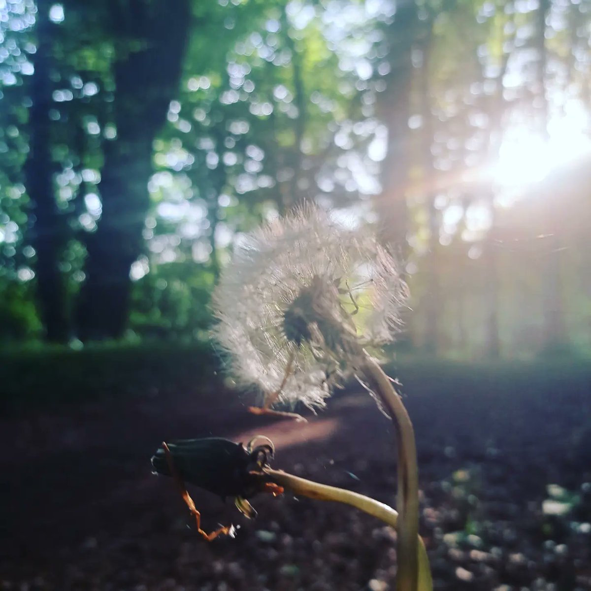 Donegalabu's tweet photo. Beautiful walk this evening. My first 12km walk in a very long time. #UnwindyourMind #Walking https://t.co/6AKSrPXDiC