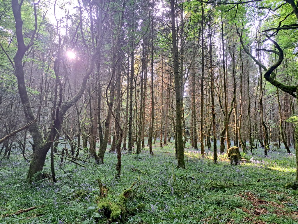 Donegalabu's tweet photo. Beautiful walk this evening. My first 12km walk in a very long time. #UnwindyourMind #Walking https://t.co/6AKSrPXDiC