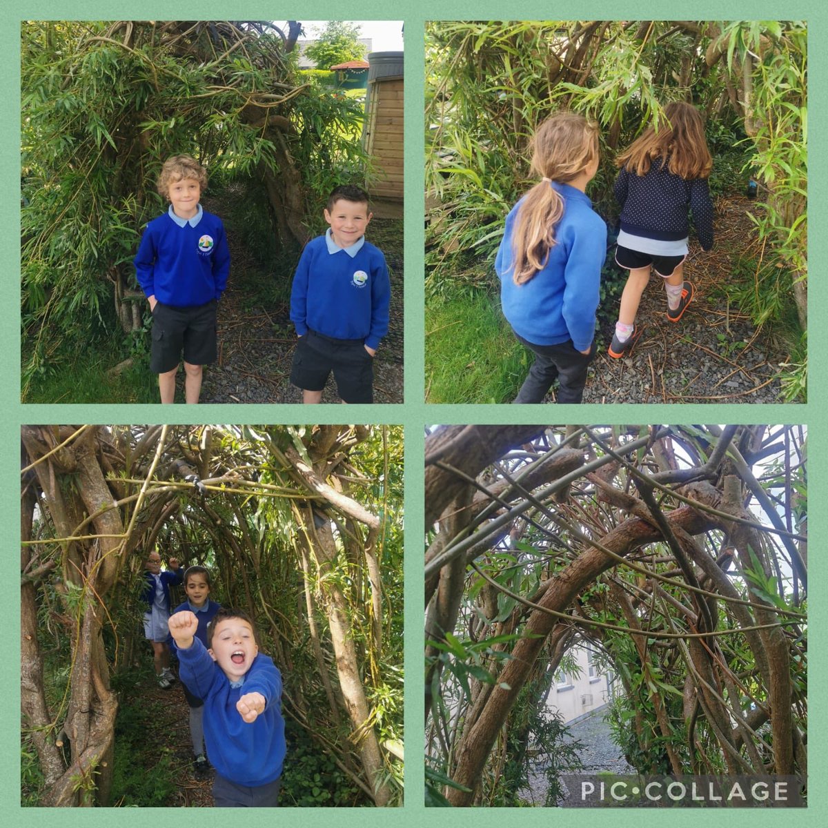 Ysgol Y Felinheli tweet media