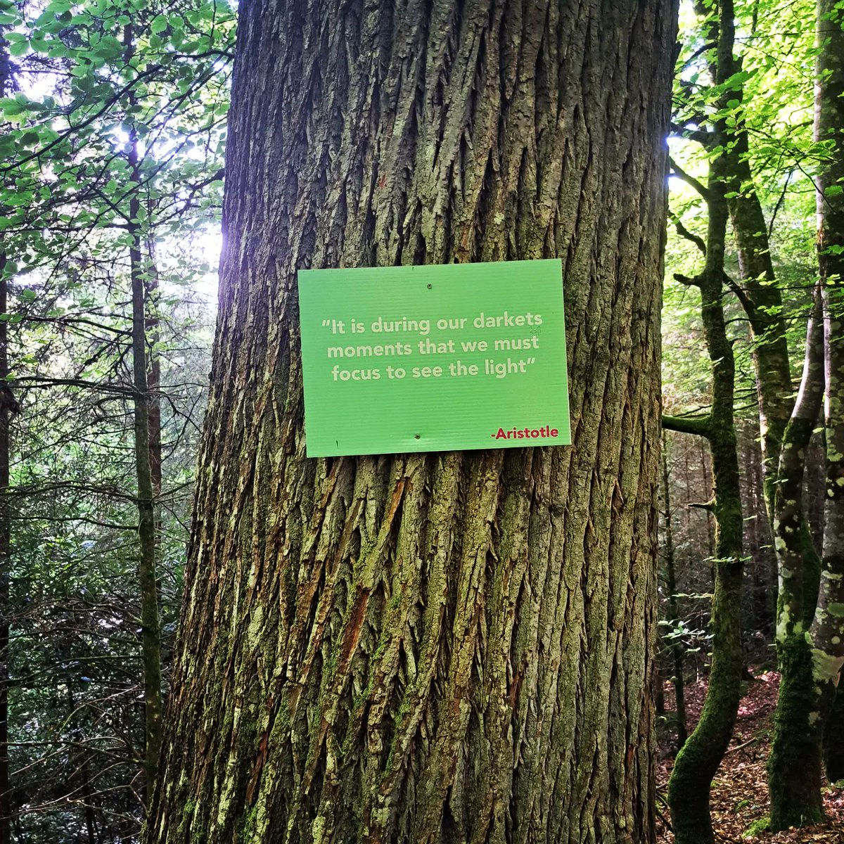 Donegalabu's tweet photo. Some evenings you just need a literal sign to tell you you're going in the right direction. #Unwindyourmind #Mentalhealth https://t.co/zTY7dplqBP