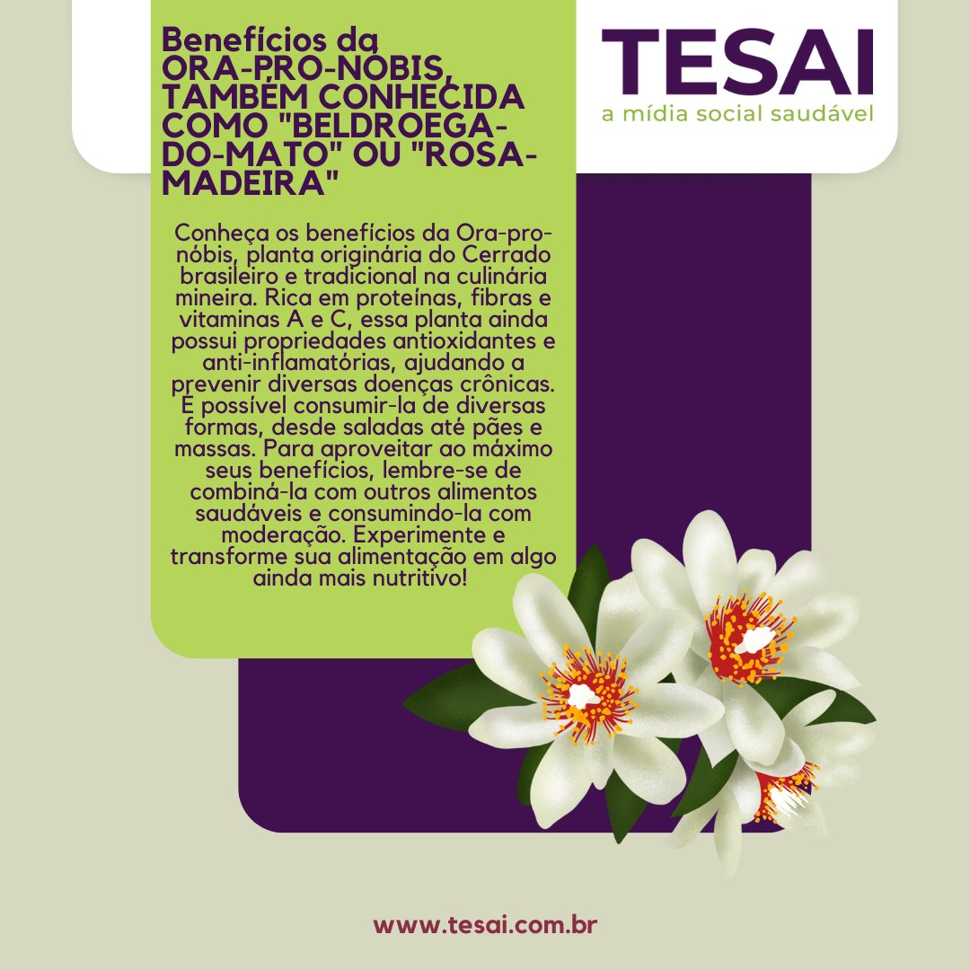 TesaiSaude's tweet image. Cuidar da saúde requer hábitos diários e práticas eficientes. Com a plataforma de saúde Tesai, você tem acompanhamento médico personalizado, monitoramento de saúde e orientação nutricional.#Tesai  #OraProNóbis #TesaiHealth #TesaiSaúde #Anemia #TesaiConectaSaúde #PlataformaDeSaúde