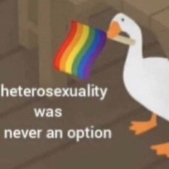 ꧁ 𝒏𝒂𝒓𝒖𝒉𝒐𝒅𝒐. 🏳️‍🌈 (@defensecouncll) on Twitter photo 