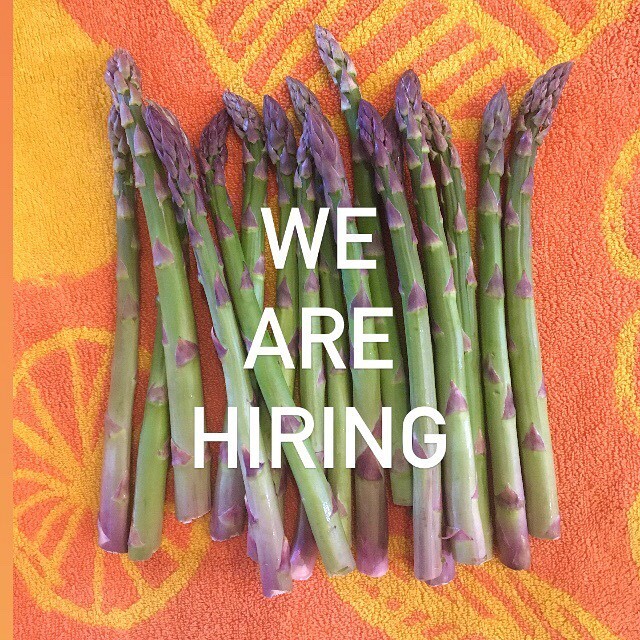 Super part time, weekends mostly. You must love to laugh, cook, and tolerate Jorge Ben. Apply by email, please: info@goodegg.ca