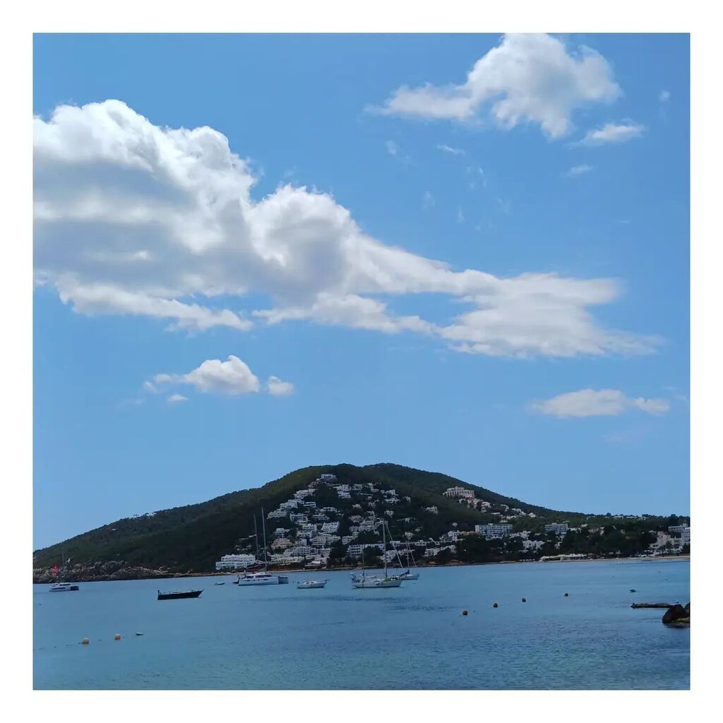 Una de leones por ser martes... Jijijijijijiji 
#curiosidad136
Aunque puede parecer poco creíble, el león es el animal más activo sexualmente, es capaz de copular con la misma hembra hasta cien veces en un sólo día. Durante el transcurso del período de celo de la hembra, un …