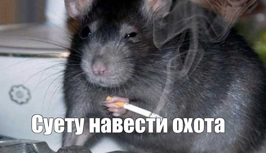 Tazique Ogurtsoff tweet media