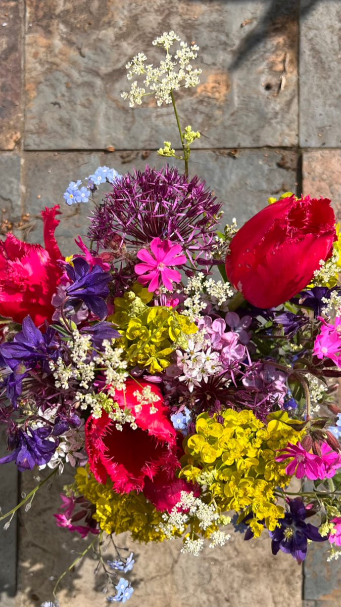 Cutting patch now going bonkers. 
So much colour. 
#britishflowers #grownnotflown #Hampton #Teddington #Twickenham 
#EastMolesey
#flowerdeliveries