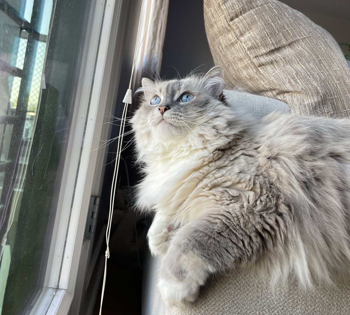 Makayla Perkins tweet media