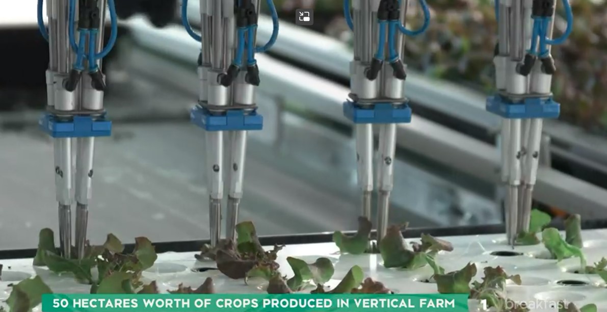 Great to have Tom at TVNZ Breakfast this morning explaining vertical farming to NZ. Our Greengrower story is getting out and making headlines!