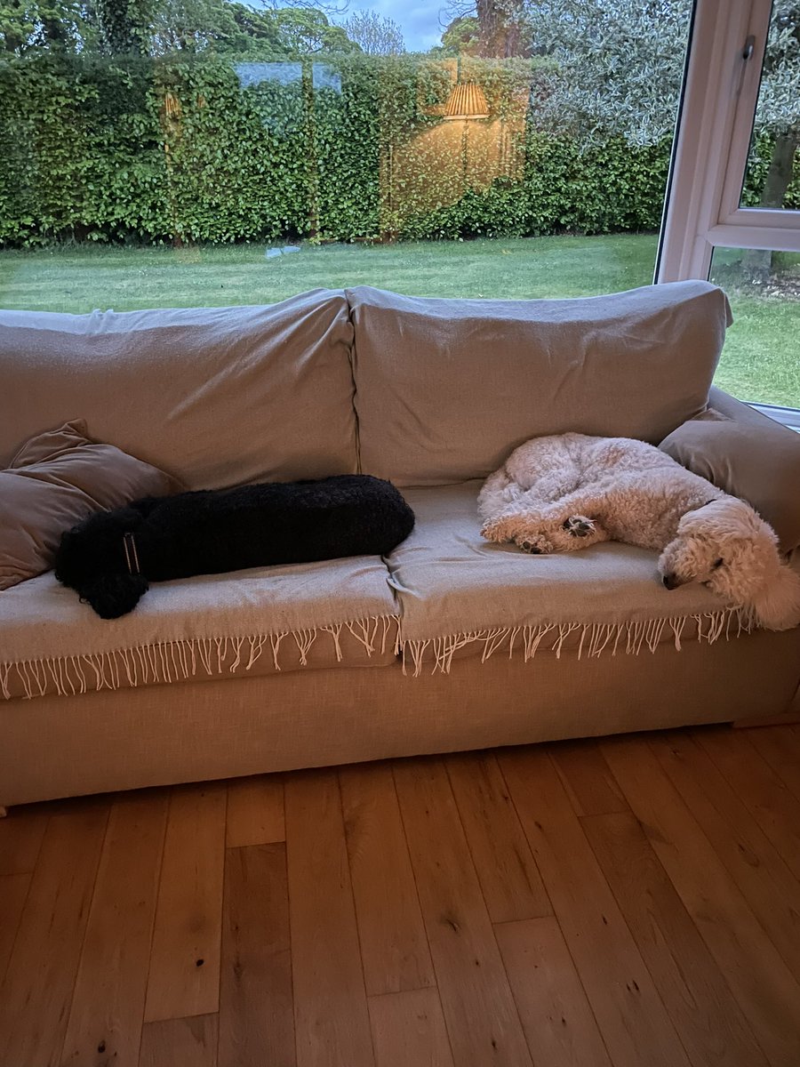 auntiedoodles's tweet photo. For the love of God vote #Polland1 #Gallagher2 this Thursday in Slieve Croob- I don’t think these two have much more canvassing or leafleting in them! #SDLP23 https://t.co/pHe27MwTJq